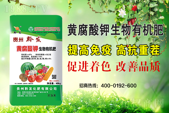 ǭ�l(f��)�ʘI(y��)�ٶȔy��1988.TV���y�ִ����������E��