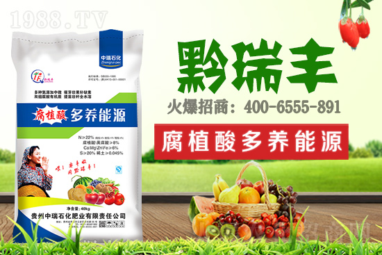     ����ʯ���ʘI(y��)�𱬁�(l��i)�u���ٺ����r(n��ng)�����̾W(w��ng)���_(k��i)��(chu��ng)���x����