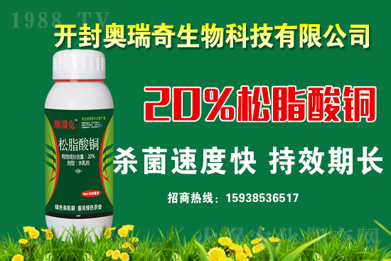 �W��������𱬁��u���y��1988.TV�_���W(w��ng)�j(lu��)������������