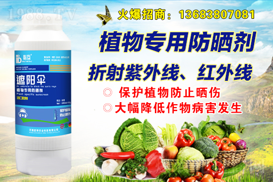  �W���r(n��ng)�I(y��)�m(x��)�s1988.TV���y�ֹ���(chu��ng)���x����