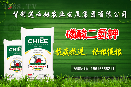 ��������ķ�ٺ�1988.TV���_(k��i)���W(w��ng)�j(lu��)������ģʽ��