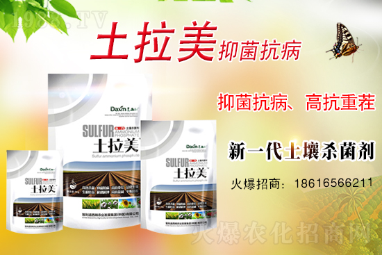 ��������ķ�ٺ�1988.TV���_(k��i)���W(w��ng)�j(lu��)������ģʽ��