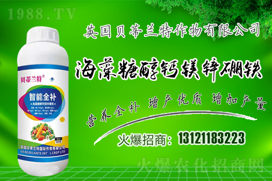 Ӣ��ؐ���m���ٺ�1988.TV�����\�������p�A��