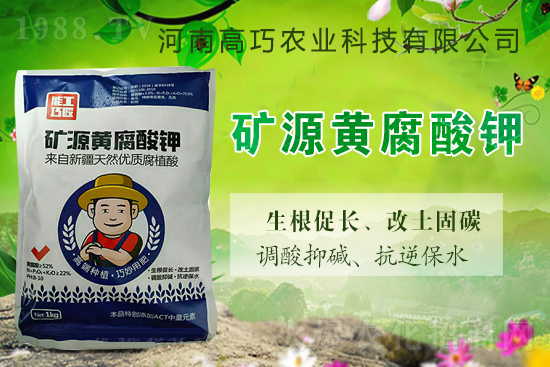  ϲ��(b��o)��1988.TVϲӭ�������������r(n��ng)�I(y��)��(qi��ng)��(sh��)��(l��i)�u��