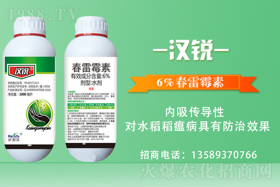     �������\�°l(f��)չ�����u�������ٴκ��s1988.TV��