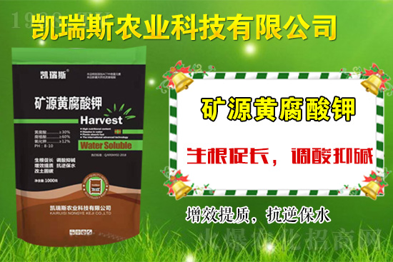 �y��ͬ�������\�l(f��)չ����ϲ�P��˹�r(n��ng)�I(y��)�ٺ�1988.TV��