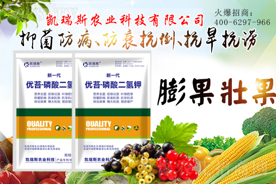 �y��ͬ�У����\�l(f��)չ����ϲ�P��˹�r(n��ng)�I(y��)�ٺ�1988.TV��