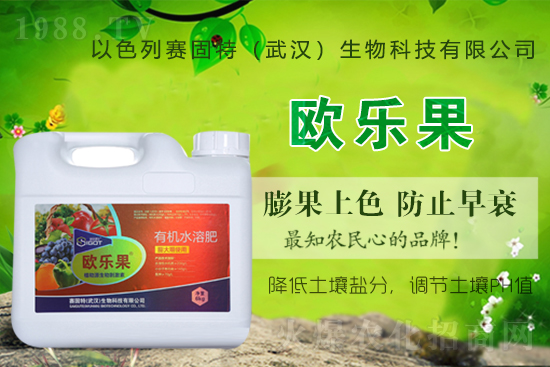 ��ɫ��ِ�����ٶȔy��1988.TV���y�ֹ���(chu��ng)��(zh��n)��(j��)���ل�(chu��ng)�x����