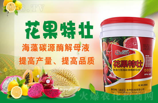 ��ɫ��ِ�����ٶȔy��1988.TV���y�ֹ���(chu��ng)��(zh��n)��(j��)���ل�(chu��ng)�x����