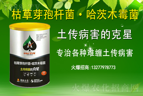 ��ռ�̙C���������A�����������y���r(n��ng)���W(w��ng)�ل�(chu��ng)���x����