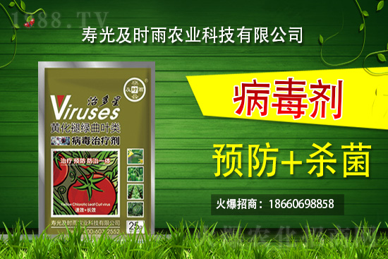     �۹⼰�r(sh��)���٠��ֻ��r(n��ng)���W(w��ng)�����r(n��ng)�Y�ИI(y��)ע����(d��ng)����