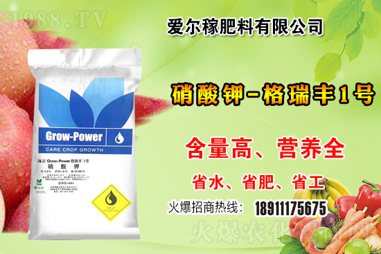 �����P(gu��n)ϵ�����A���۠��ڷ����ٺ�1988.TV������(chu��ng)���x�ͣ�