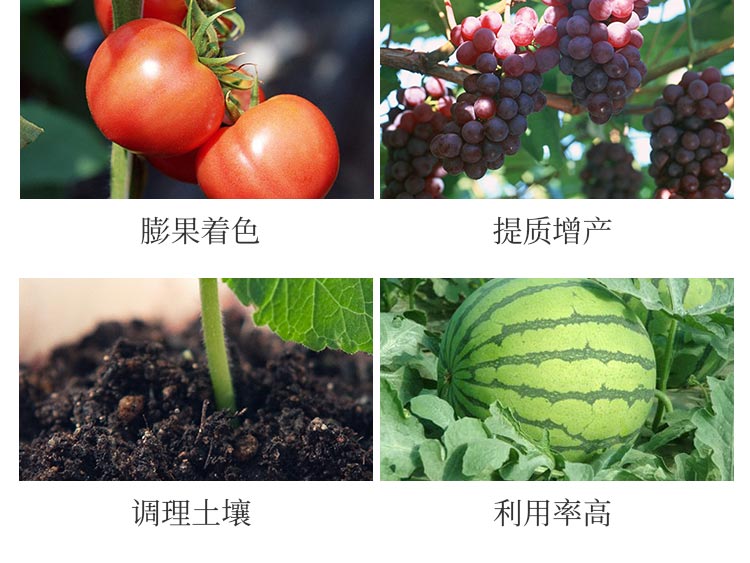 �H���{(l��n)������Ƽ����޹�˾1_05