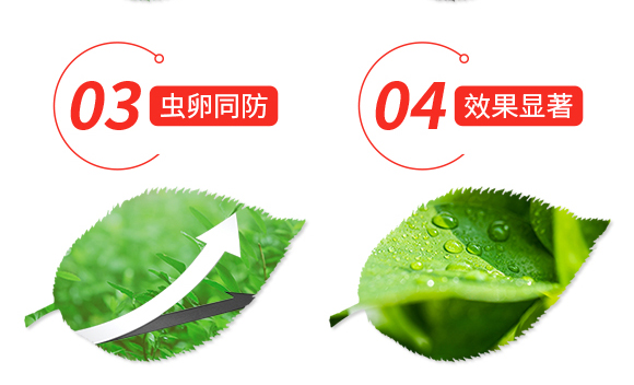 ��ʭ�^-�n����-Ξ���x_04