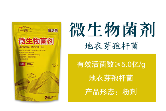 һ��-΢�������_02