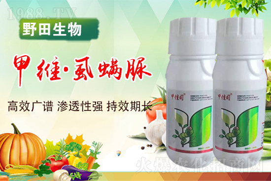 ��Ұ������o��Ұ�������ף���I(y��)�t������옷��2022���\(y��n)�B�B��