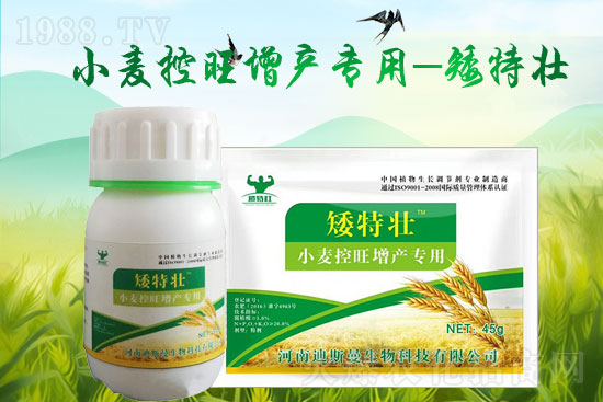 ����˹�����o��Ұ�������ף���2022�껢������H�Қg��(l��)������(ji��)�옷(l��)��