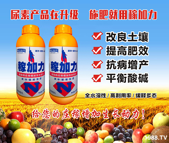 ����˹�ء�ף���т�����옷���f��������֥���_����(ji��)��(ji��)�ߣ�