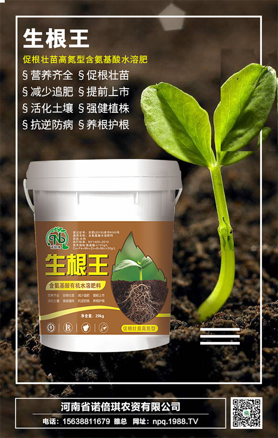 ���Z�����r(n��ng)�Y��ף������µ�һ�����I(y��)�г������\(y��n)�o����