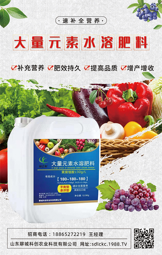 ɽ�|�ĳǿƄ�(chu��ng)�ٺ�1988.TV�����\�������p�A��