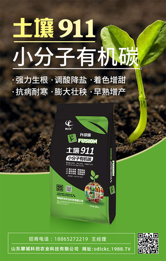 ɽ�|�ĳǿƄ�(chu��ng)�ٺ�1988.TV�����\�������p�A��