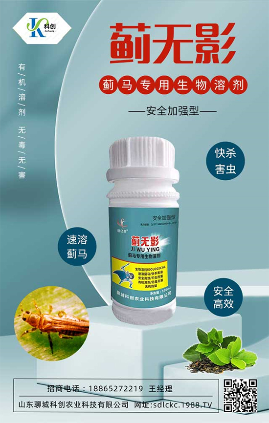 ɽ�|�ĳǿƄ�(chu��ng)�ٺ�1988.TV�����\�������p�A��