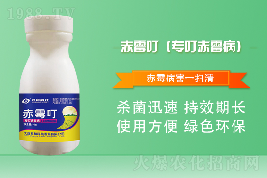 ����������(j��)�����B�p�ͿƼ��ٺ�1988.TV������(chu��ng)���x����