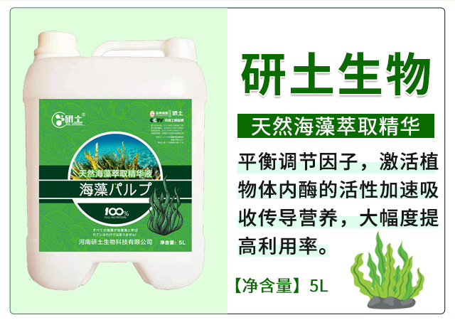 天然海藻萃取精華液-研土生物_03