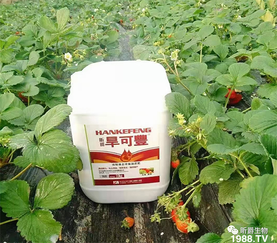 꿾����F(tu��n)82