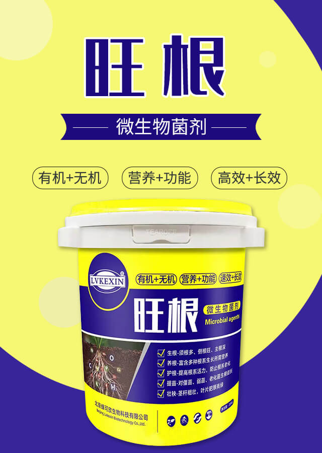 ����΢�������-�G����_01