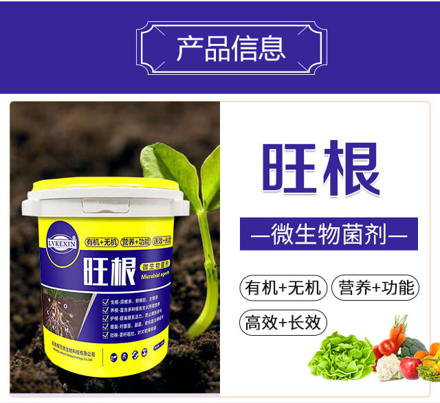 ����΢�������-�G����_02