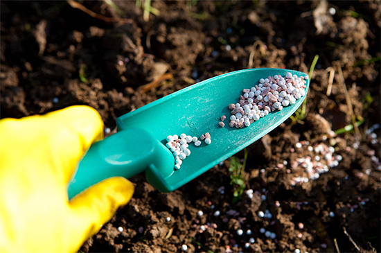 �ذ������ߌóɶ��N�I(y��)���[�����n11��18��