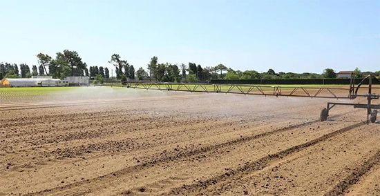 �ذ������ߌóɶ��N�I(y��)���[�����n11��18��