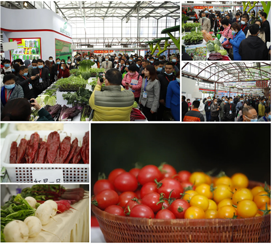 �ذ������ߌóɶ��N�I(y��)���[�����n11��18��