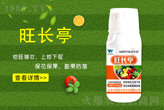 ʲô���S�����L���S�����L�ķ��ش�ʩ