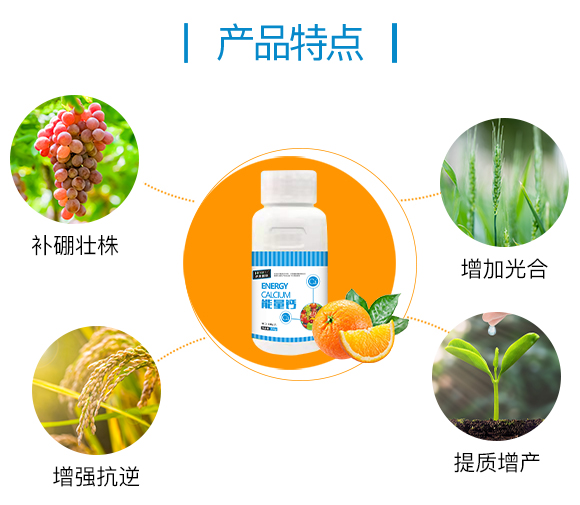 �o(h��)����(gu��)�H855862_03