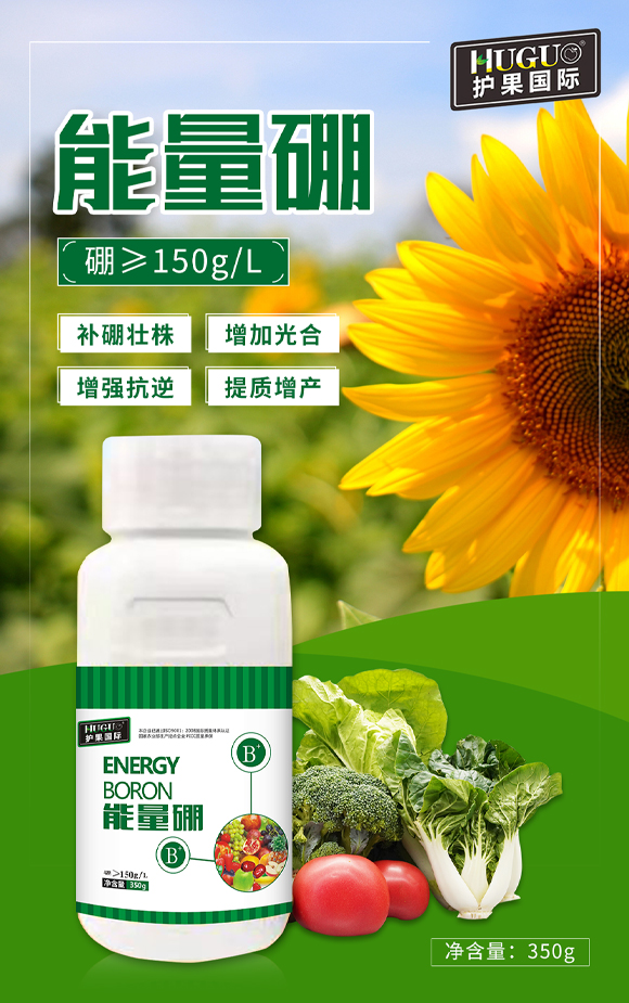 �o�����H855863_01