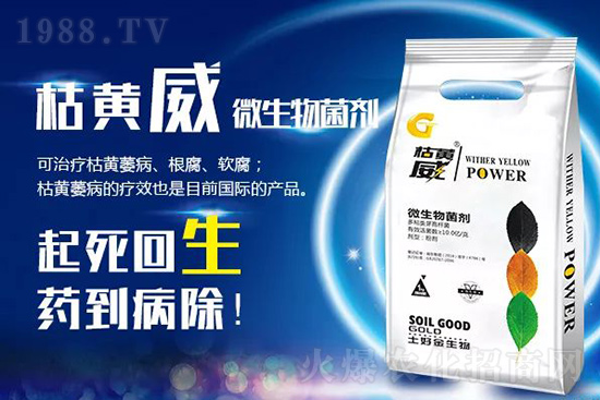 ���Sή�����ݵȲ������Ӝ皢�������͉�����