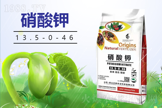 ��ɽ���(y��ng)�r(n��ng)�I(y��)�Ƽ����޹�˾3