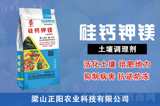 ��ɽ���(y��ng)�r(n��ng)�I(y��)�Ƽ����޹�˾2