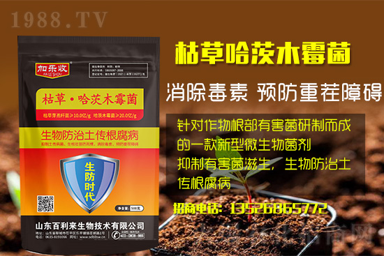 ���������l(f��)��ô��������������ʲôˎ�÷���Ч������