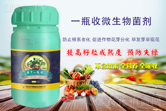 ���r(n��ng)���W(w��ng)ϲӭ���������y�և���ʘI(y��)����ؔ��֮·��