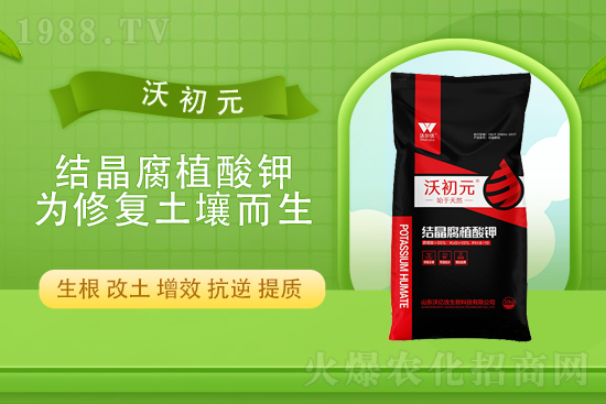 ����?q��ng)?b��o)�r(ji��)��2022��4��13�Տ�(f��)�Ϸ��Ј�(ch��ng)�r(ji��)��