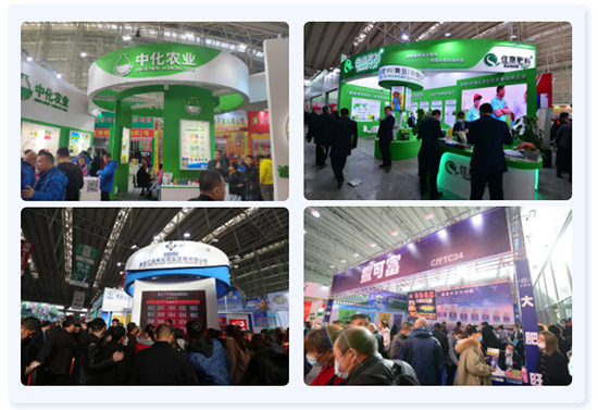 2022�����I�r(n��ng)�Y���[��(hu��)13