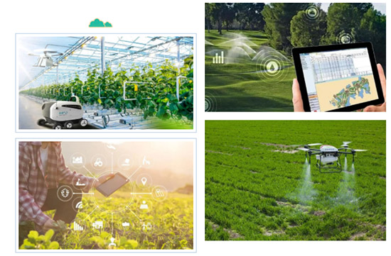 2022�����I�r(n��ng)�Y���[��(hu��)18