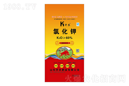 ⛷ʃr(ji��)������Xһ�������Շ���(n��i)⛷��Ј���(b��o)�r(ji��)