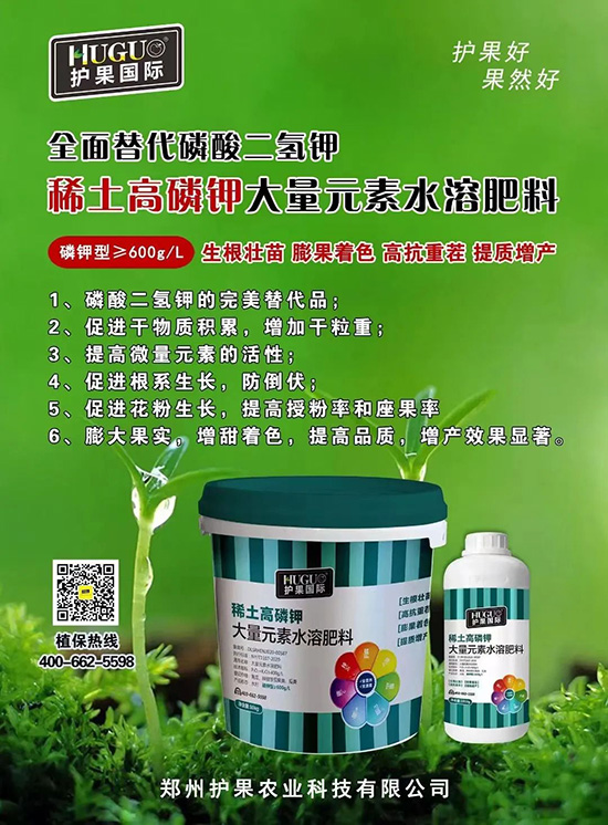 ⛷ʴ�q�r(ji��)���@�N⛷����(sh��)���ϣ����������������ռ���f(w��n)�Ј�(ch��ng)