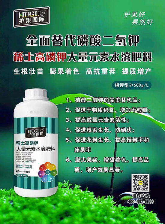 ⛷ʴ�q�r(ji��)���@�N⛷����(sh��)���������������������ռ���f(w��n)�Ј�(ch��ng)