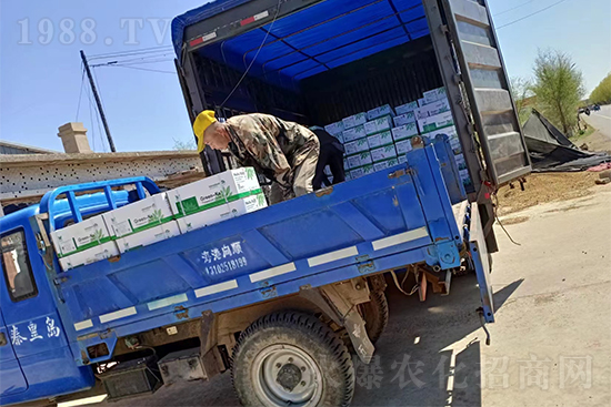 ���N��Ʒ����(sh��)���S��������2̖�l(f��)؛��ͣЪ