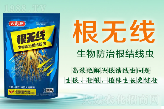 ���Y���x�������ך��^�y���@�ӷ���Ч���õ��@����